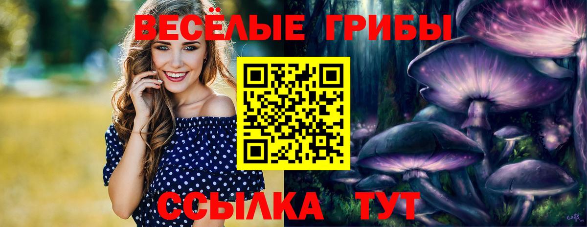 Псилоцибиновые грибы Psilocybine cubensis  Галлюциногенные грибы мицелий  Вход с VPN  Муром 
